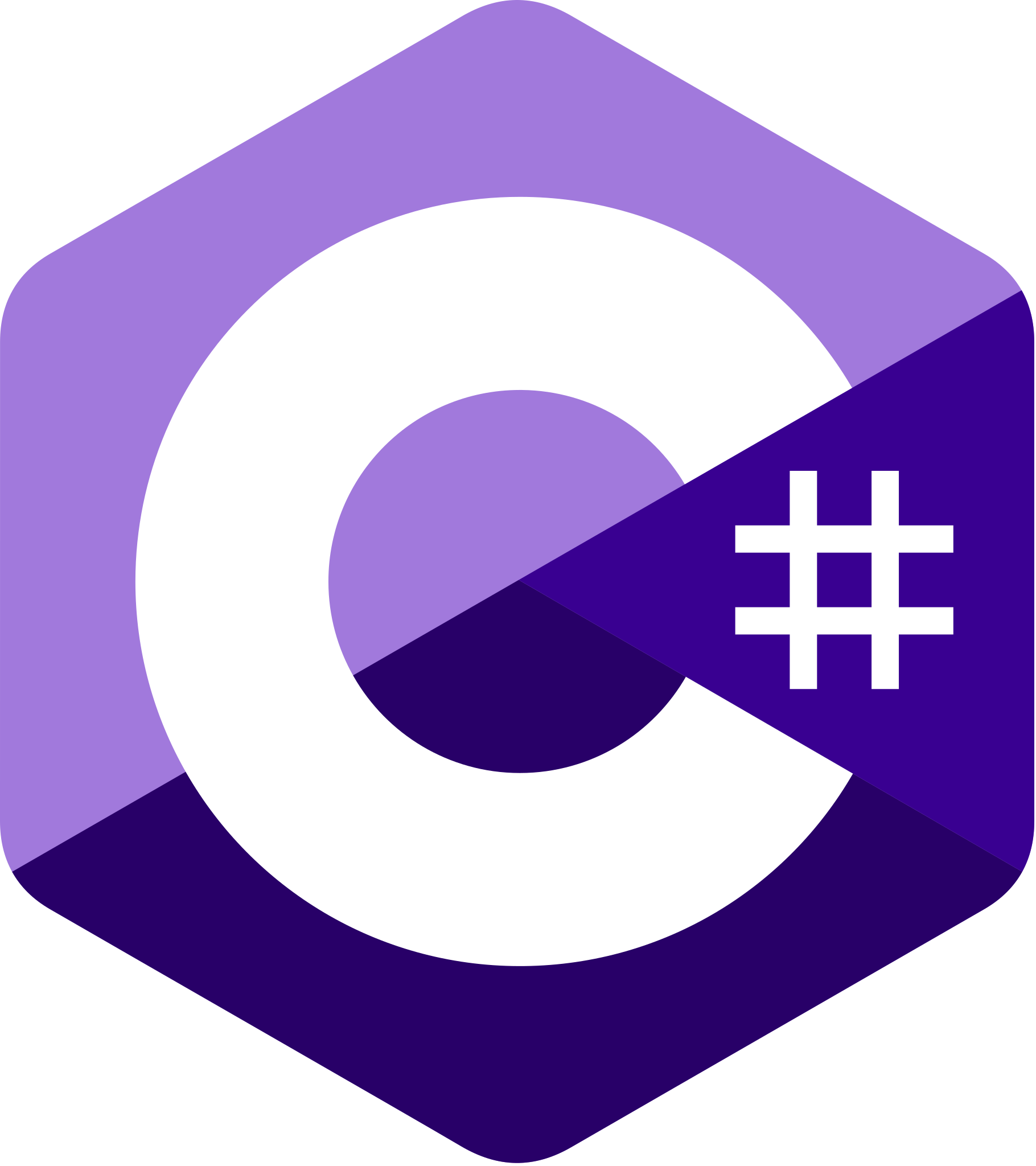 c# skill